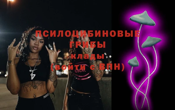 ПСИЛОЦИБИНОВЫЕ ГРИБЫ Волосово