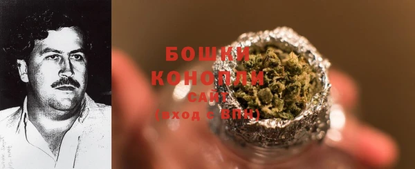 ПСИЛОЦИБИНОВЫЕ ГРИБЫ Волосово