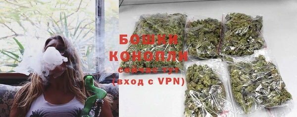 ПСИЛОЦИБИНОВЫЕ ГРИБЫ Волосово