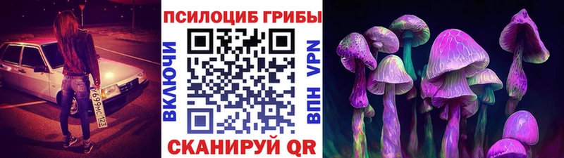 Галлюциногенные грибы Magic Shrooms  где купить наркоту  Гагарин 